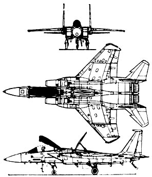  - F-15C ''   
